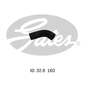 050678 GATES-AU