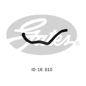 1024952 GATES-AU