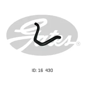 020516 GATES-AU
