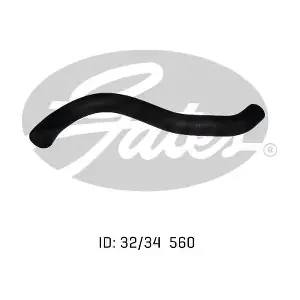 050523 GATES-AU