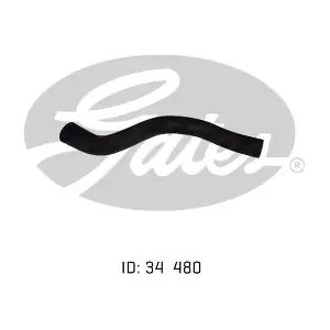 050536 GATES-AU