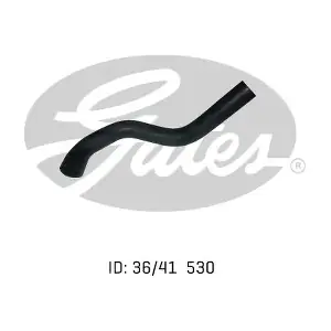 050431 GATES-AU