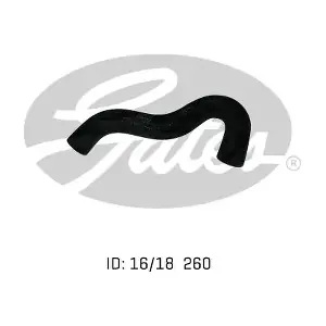020432 GATES-AU