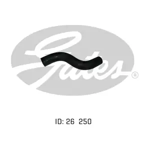 050727 GATES-AU