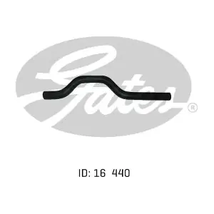 1025099 GATES-AU