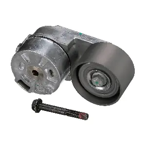 89447 DAYCO