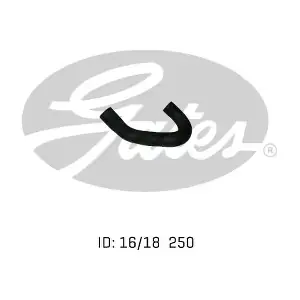 1024950 GATES-AU