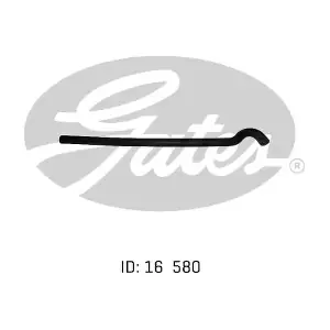 020049 GATES-AU