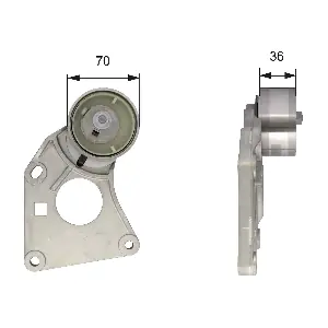 T43166 GATES-AU