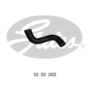 050751 GATES-AU