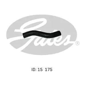020424 GATES-AU