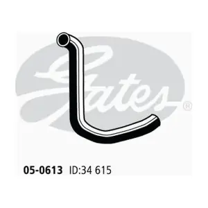 050613 GATES-AU