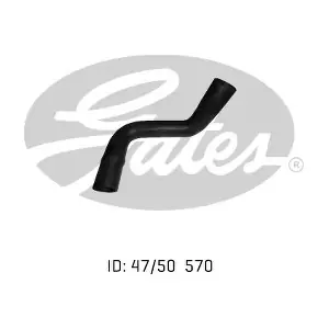 050368 GATES-AU