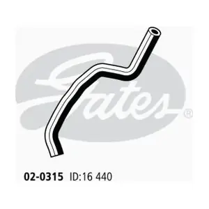 020315 GATES-AU