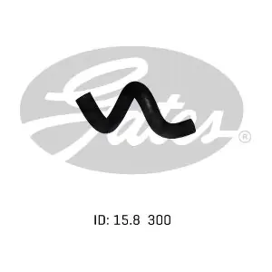 1024744 GATES-AU