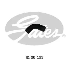 020469 GATES-AU
