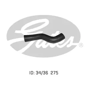 050246 GATES-AU