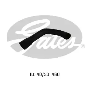 050203 GATES-AU