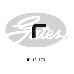 1025012 GATES-AU