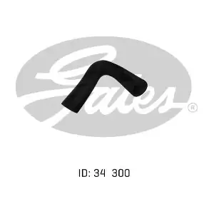 050207 GATES-AU