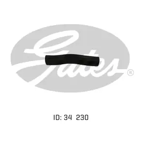 050696 GATES-AU