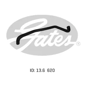 020413 GATES-AU