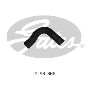 050110 GATES-AU