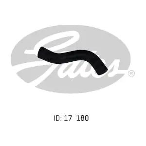 020226 GATES-AU