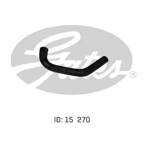 020415 GATES-AU