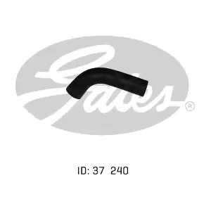 050438 GATES-AU