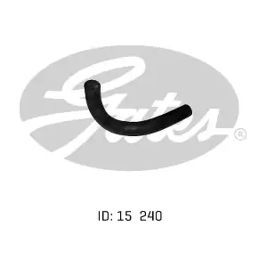 020411 GATES-AU