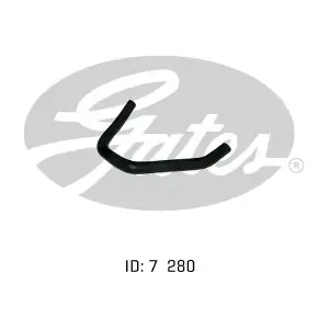 020497 GATES-AU