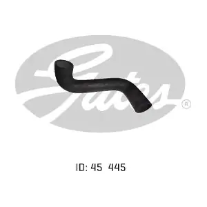 050261 GATES-AU