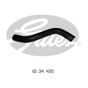 050784 GATES-AU