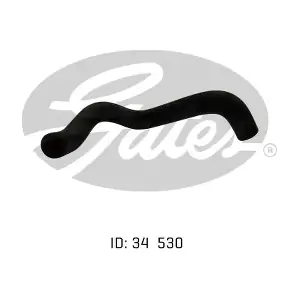 050730 GATES-AU