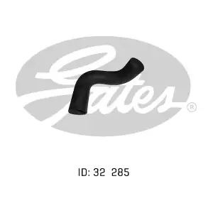 050304 GATES-AU