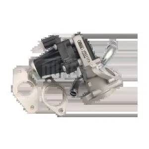 DÜRER VR21173