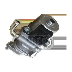 DURER VR281166