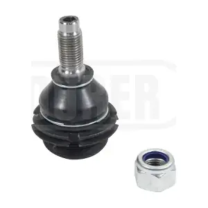 DURER ROTSUS558