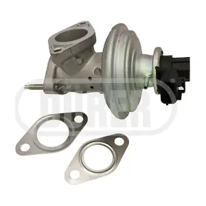 VR41176 DURER