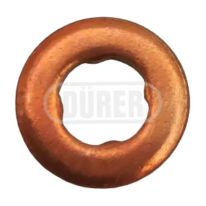GI1052378 DURER