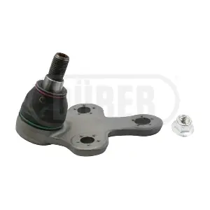 ROTSUS851 DURER