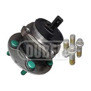 M43661K DURER