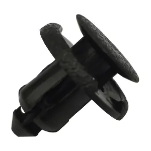CLRU04s10 DURER