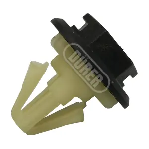 CL31s10 DURER