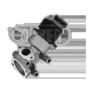 DURER VR21161