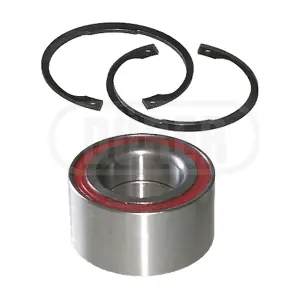 DÜRER R50736K