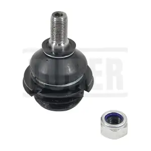 ROTSUS615 DURER