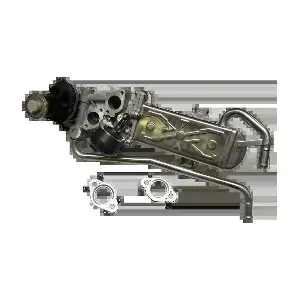 VR81159 DURER