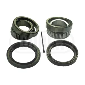 R40686K DURER